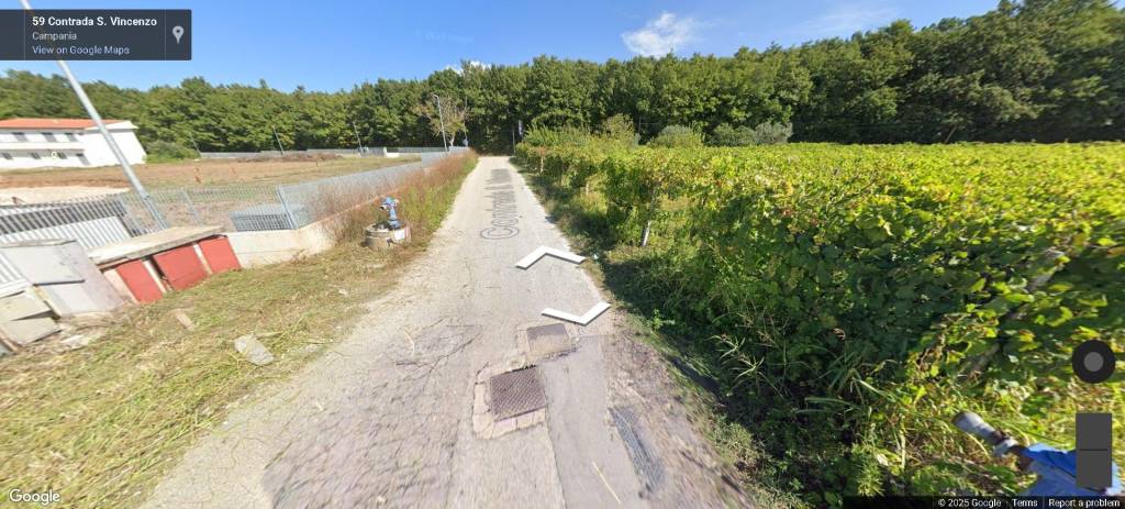 immagine annuncio 11 di 13