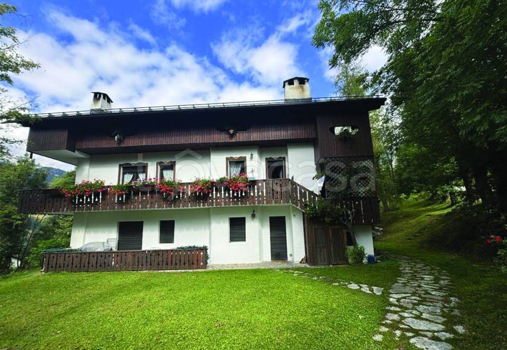 immagine annuncio 12 di 13