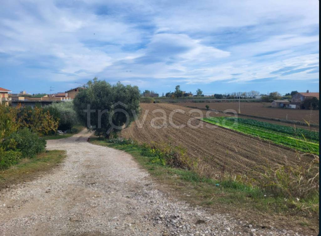 immagine annuncio 8 di 11