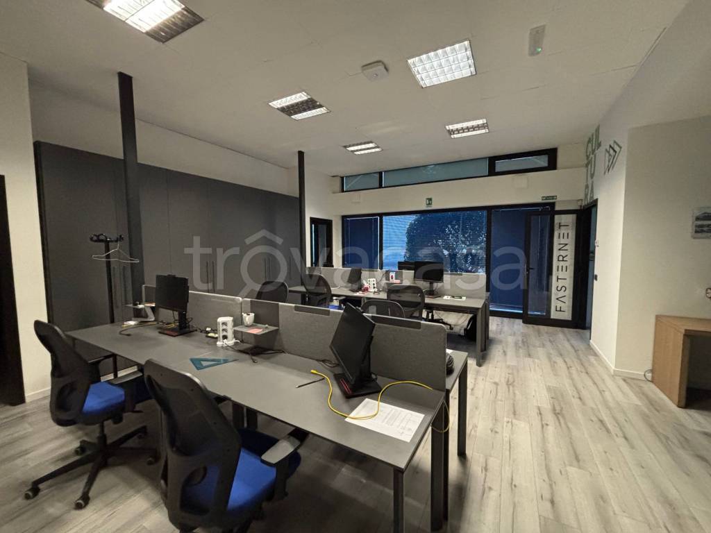 immagine annuncio 11 di 14