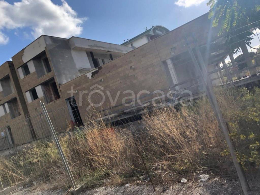 immagine annuncio 9 di 14