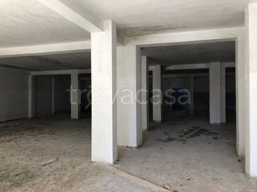 immagine annuncio 11 di 14