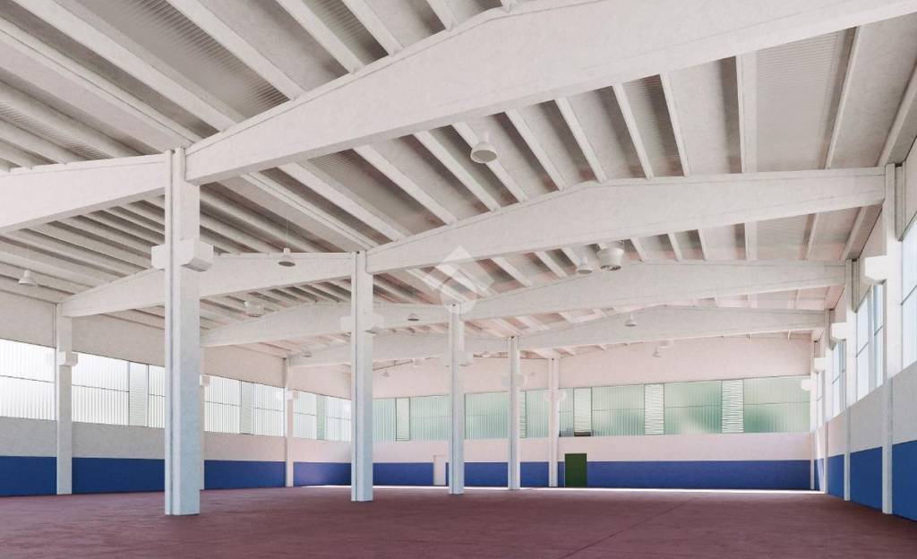 immagine annuncio 1 di 14