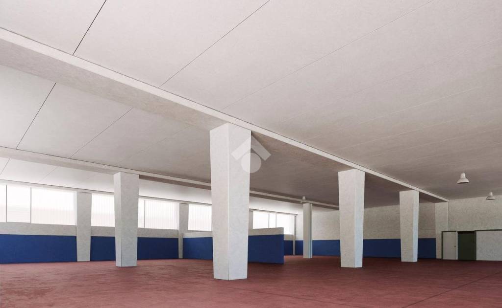 immagine annuncio 2 di 14