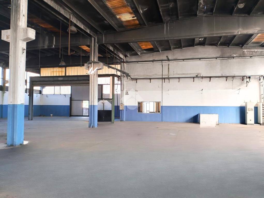 immagine annuncio 4 di 14