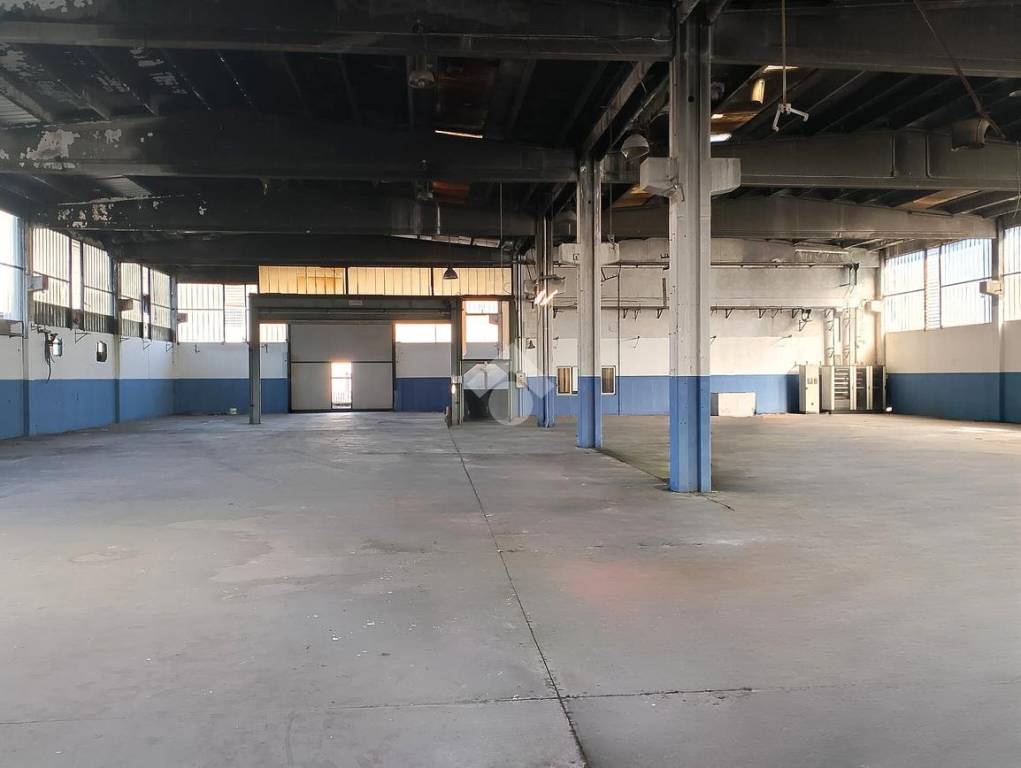 immagine annuncio 5 di 14