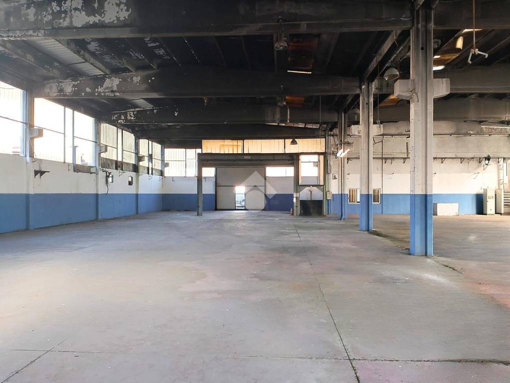 immagine annuncio 8 di 14