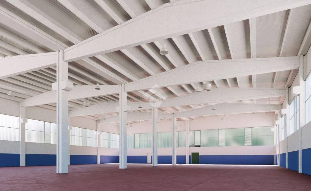 immagine annuncio 13 di 14