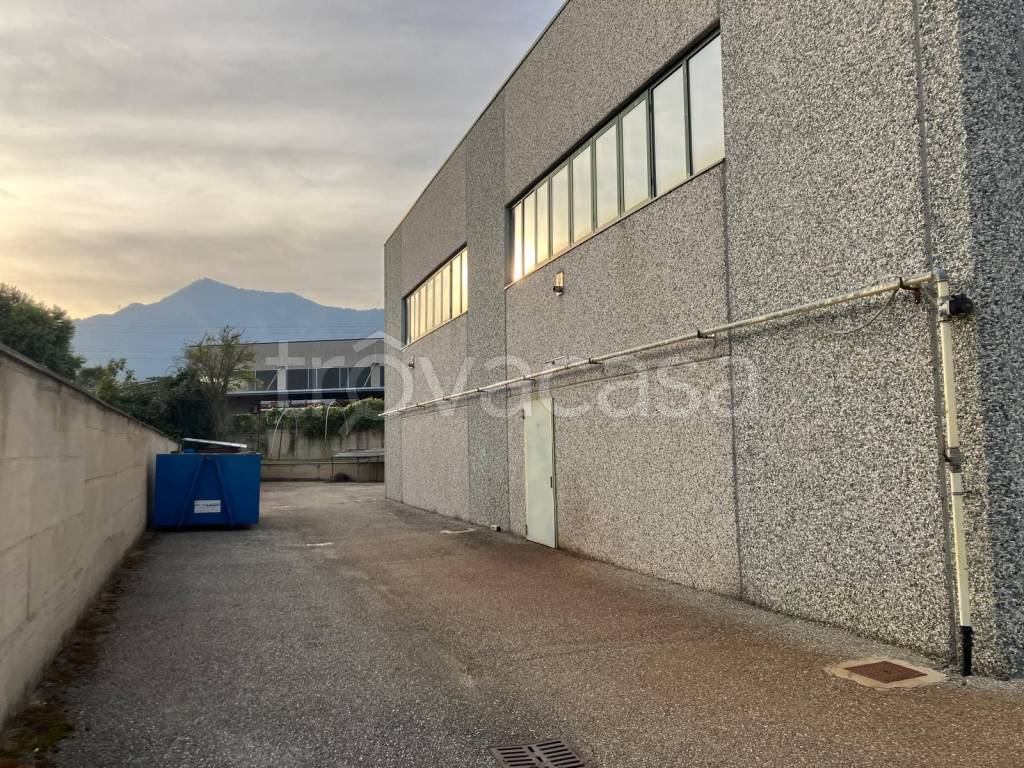 immagine annuncio 6 di 11