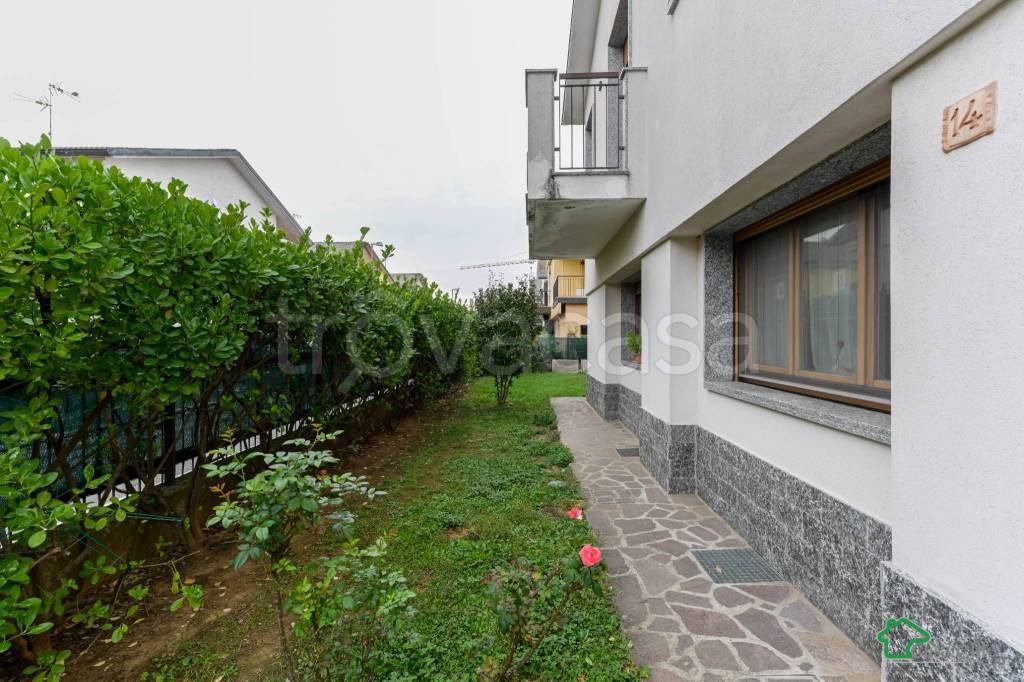 immagine annuncio 3 di 15