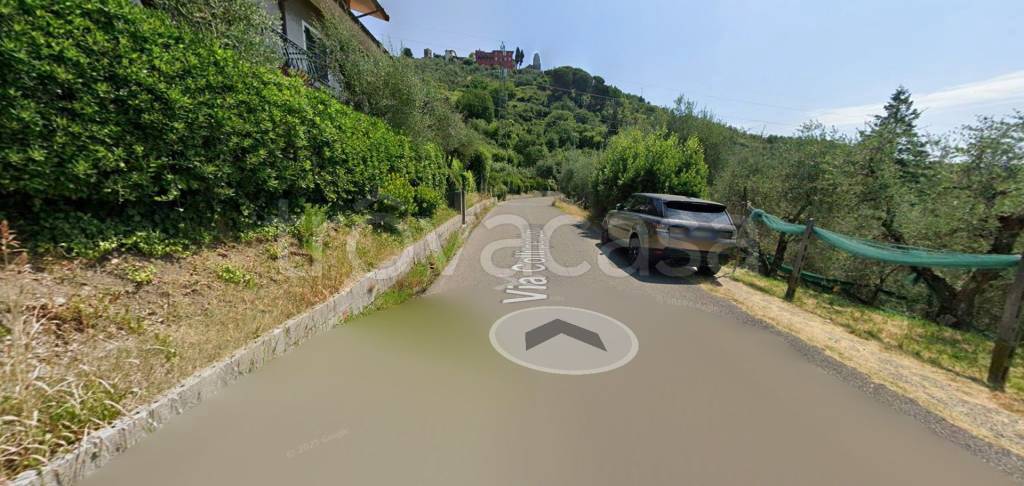 immagine annuncio 5 di 12