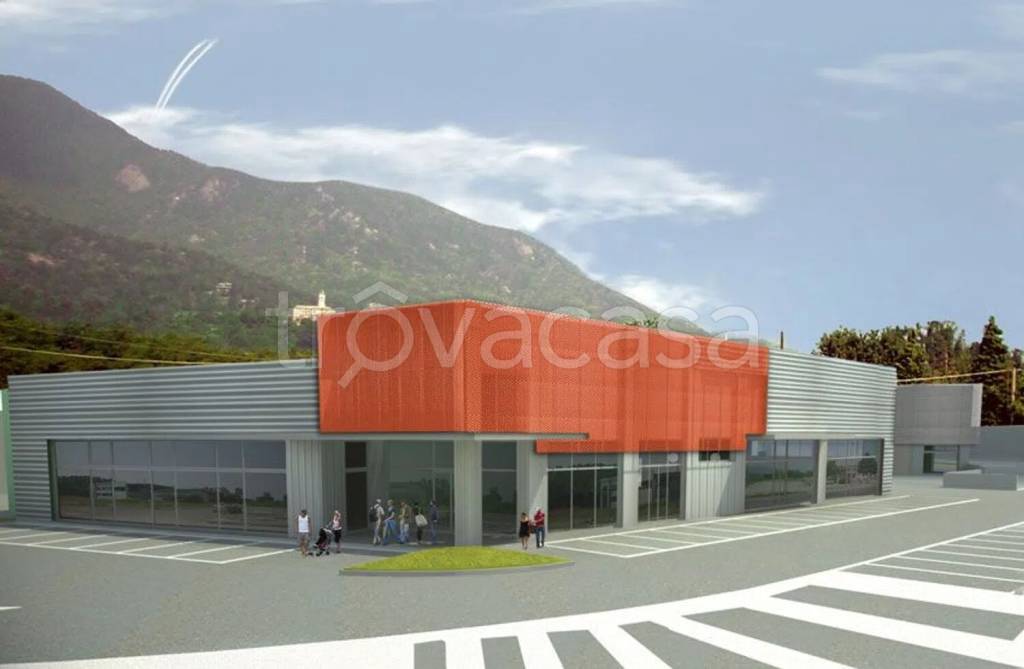 immagine annuncio 2 di 3