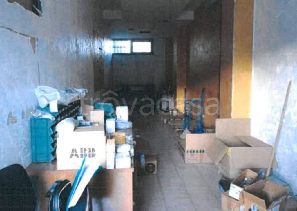 immagine annuncio 4 di 12