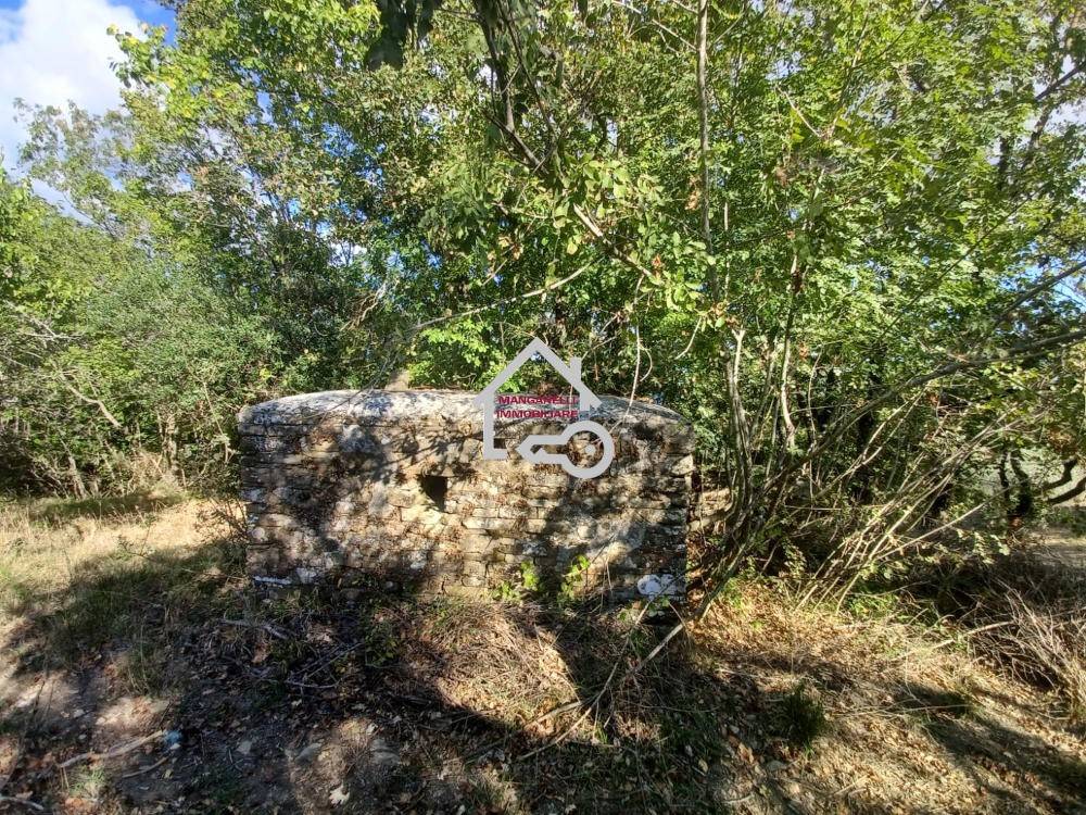 immagine annuncio 8 di 11