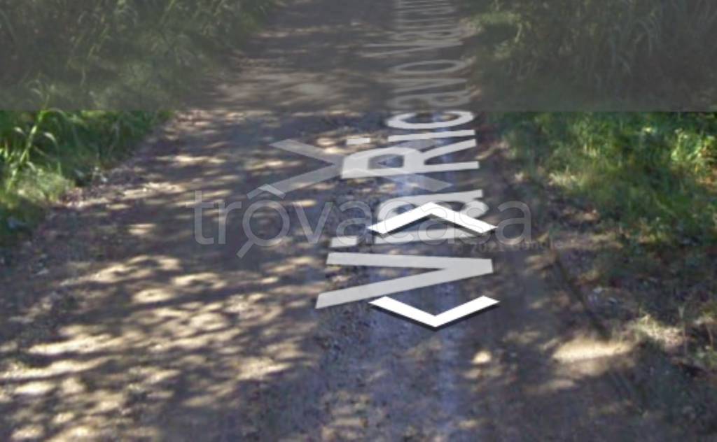 immagine annuncio 7 di 12