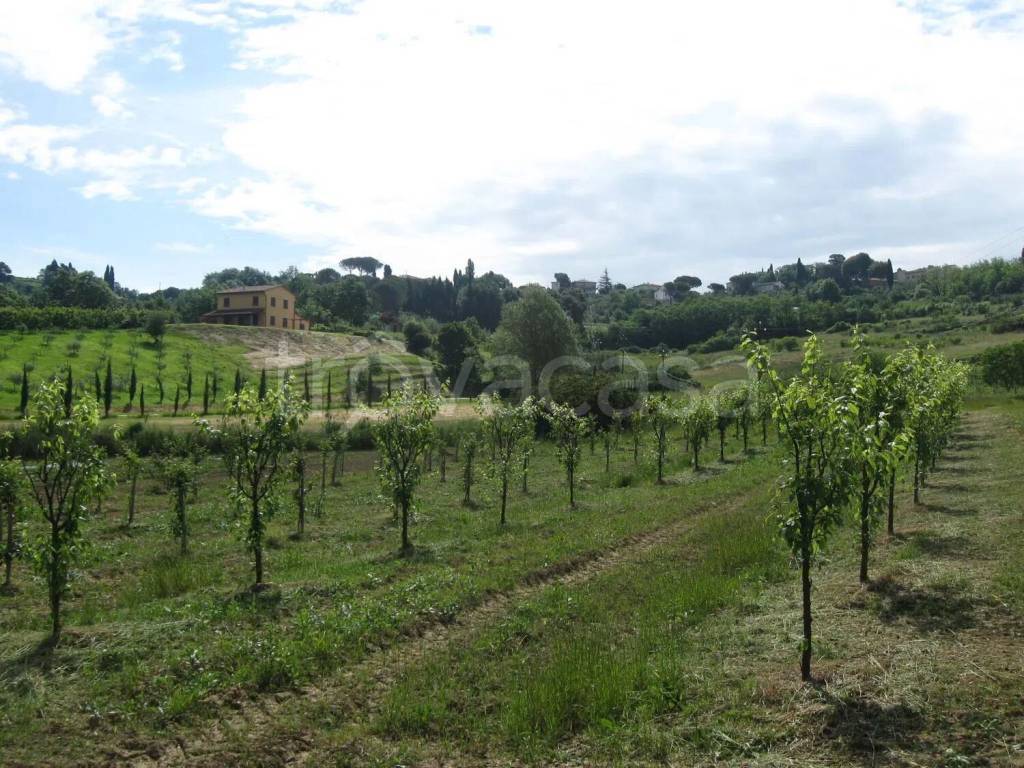 immagine annuncio 1 di 8