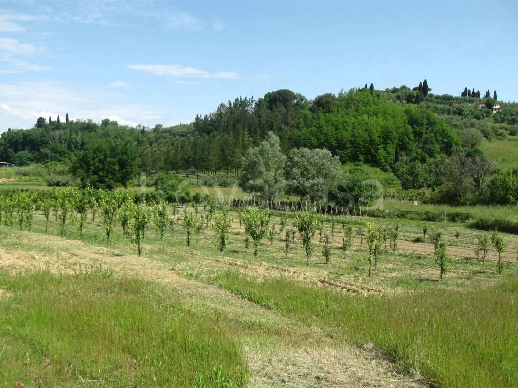 immagine annuncio 2 di 8