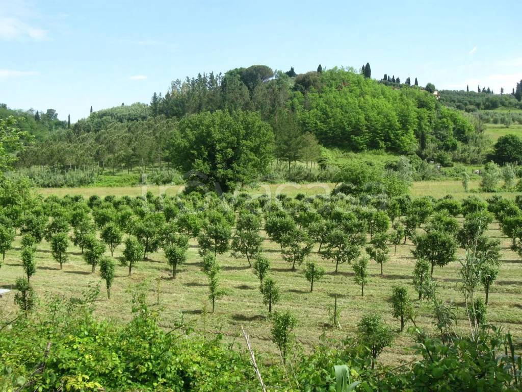 immagine annuncio 3 di 8