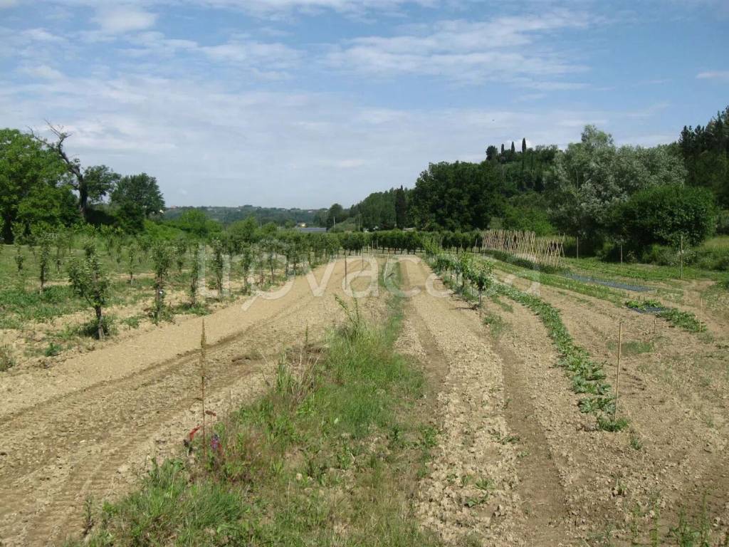 immagine annuncio 7 di 8