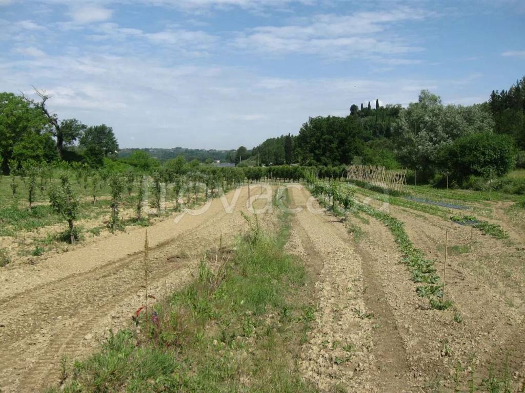 immagine annuncio 2 di 7