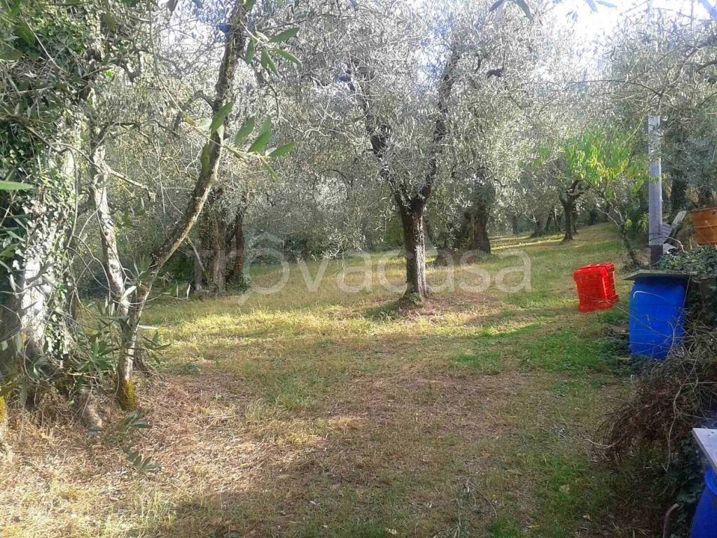 immagine annuncio 6 di 13