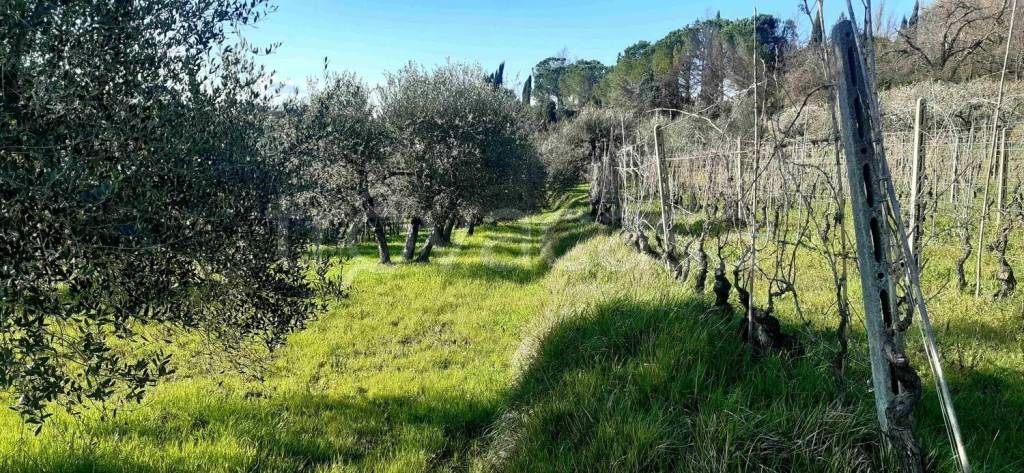 immagine annuncio 10 di 13