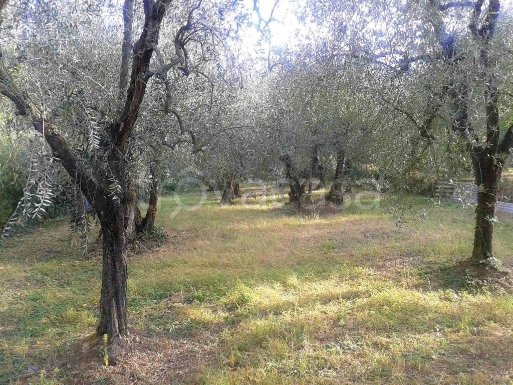 immagine annuncio 7 di 13