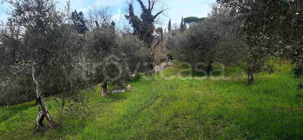 immagine annuncio 1 di 8