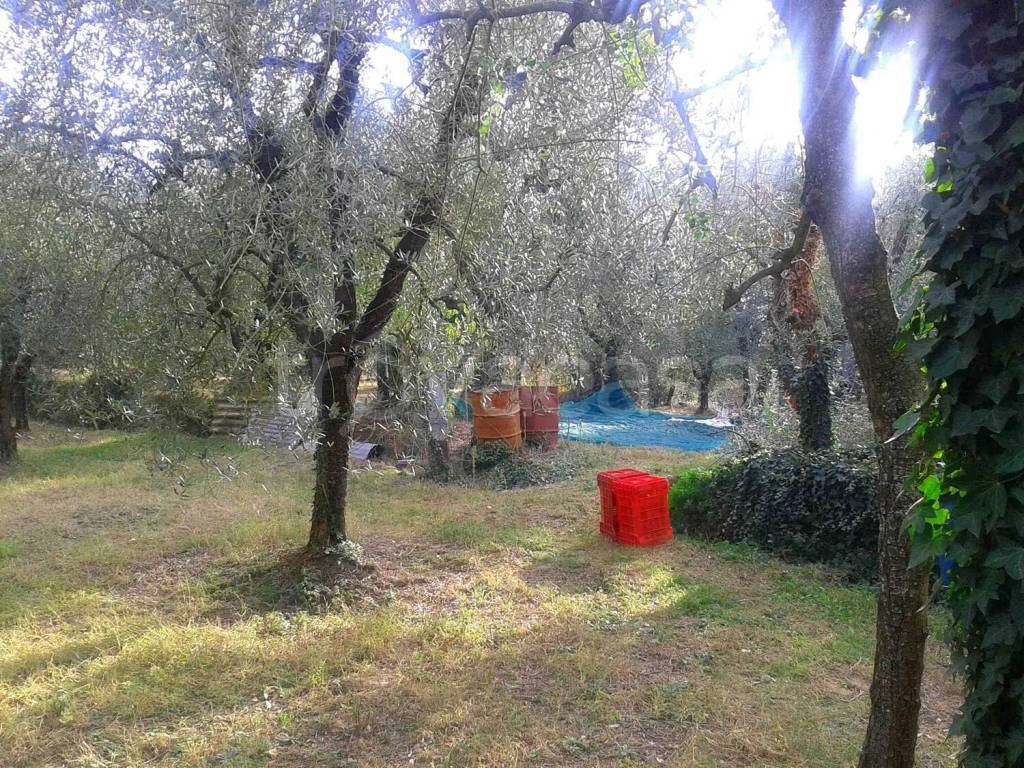 immagine annuncio 8 di 13