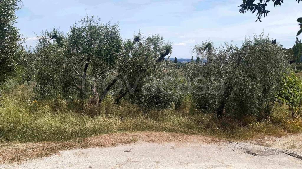 immagine annuncio 6 di 11