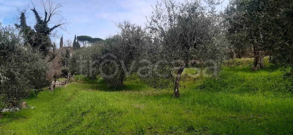 immagine annuncio 3 di 8