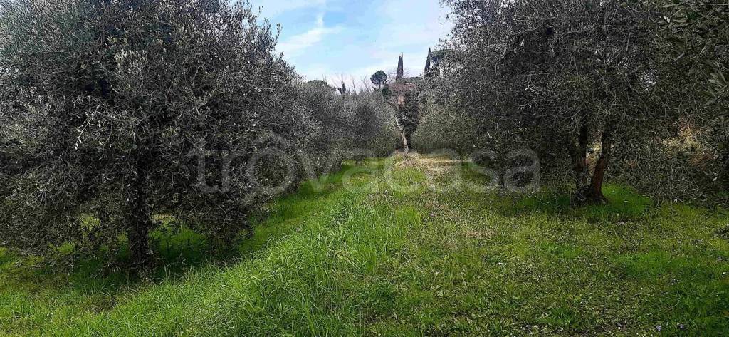 immagine annuncio 5 di 8