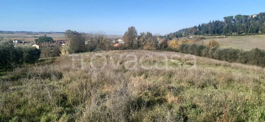 immagine annuncio 4 di 7