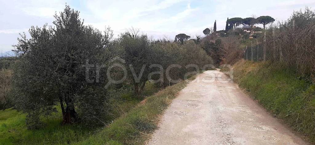 immagine annuncio 6 di 8