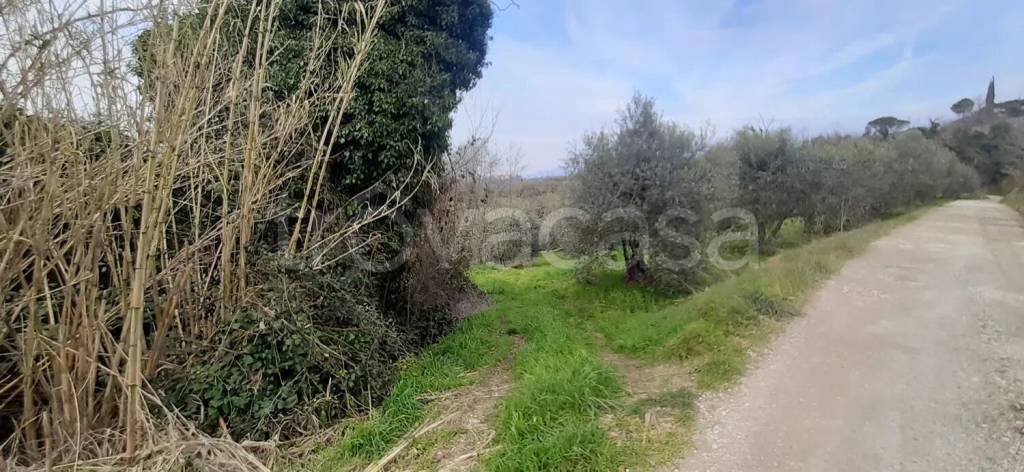 immagine annuncio 7 di 8