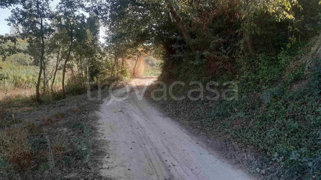 immagine annuncio 3 di 11