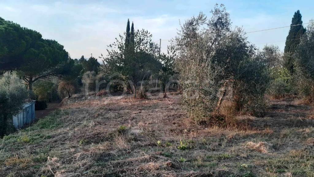 immagine annuncio 4 di 7