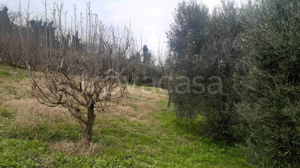 immagine annuncio 1 di 8