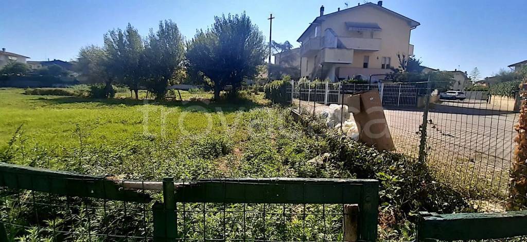 immagine annuncio 2 di 7