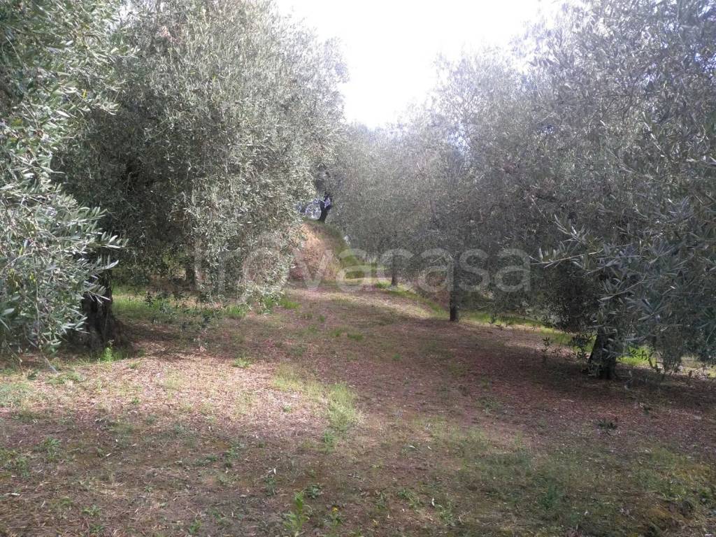 immagine annuncio 1 di 7