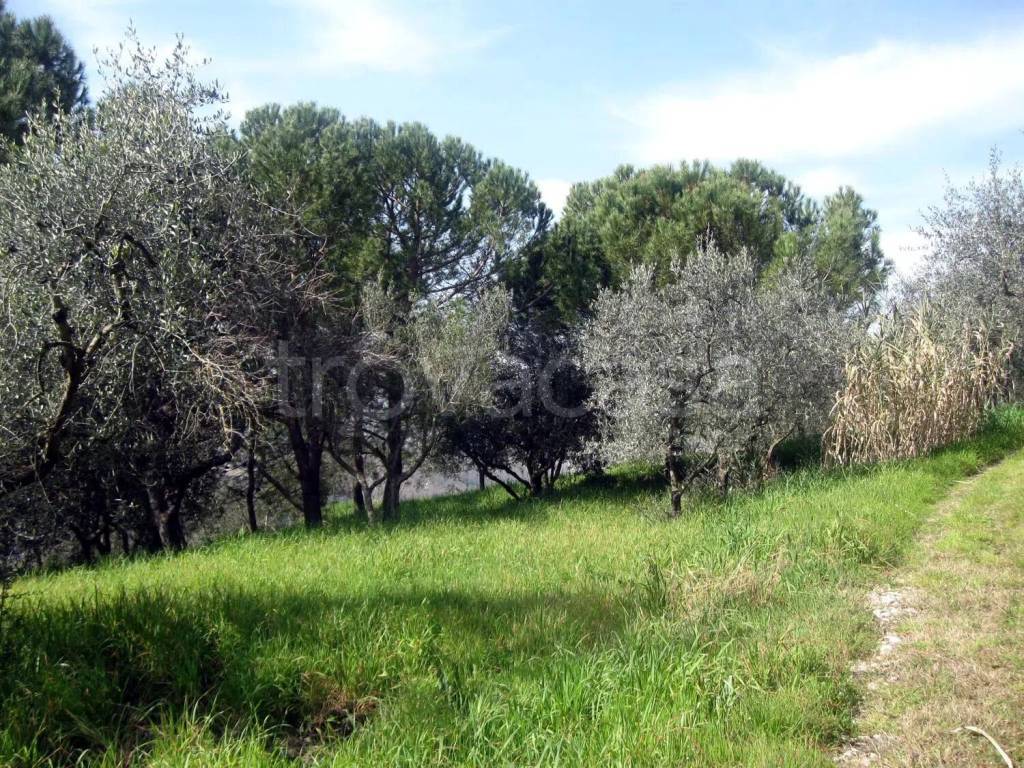immagine annuncio 1 di 7
