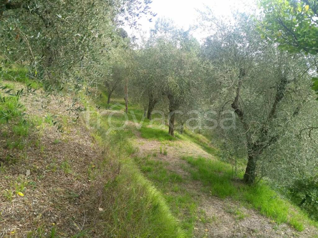 immagine annuncio 3 di 7