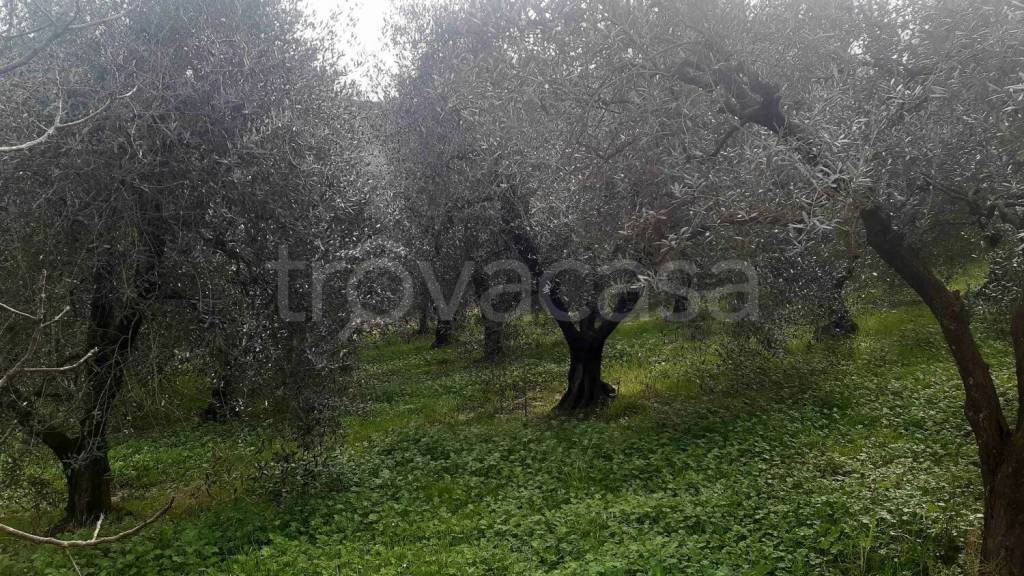 immagine annuncio 6 di 8