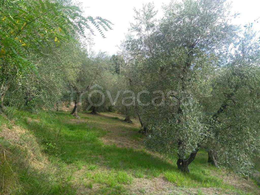 immagine annuncio 4 di 7