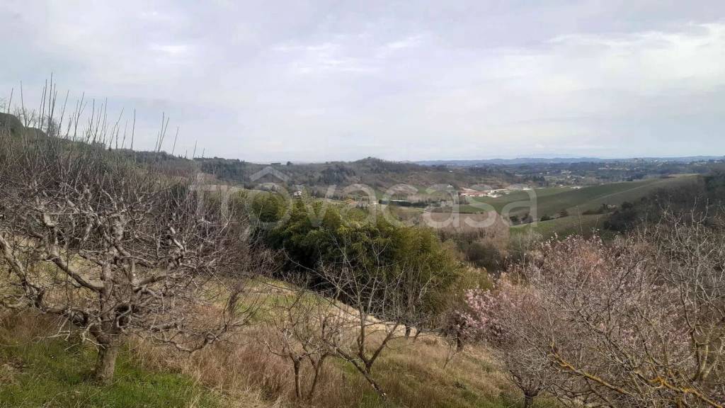 immagine annuncio 7 di 8