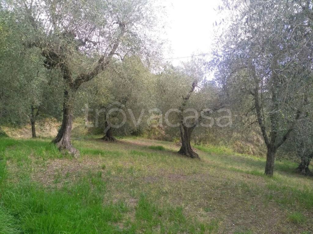 immagine annuncio 5 di 7