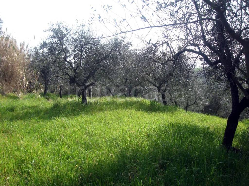 immagine annuncio 4 di 7