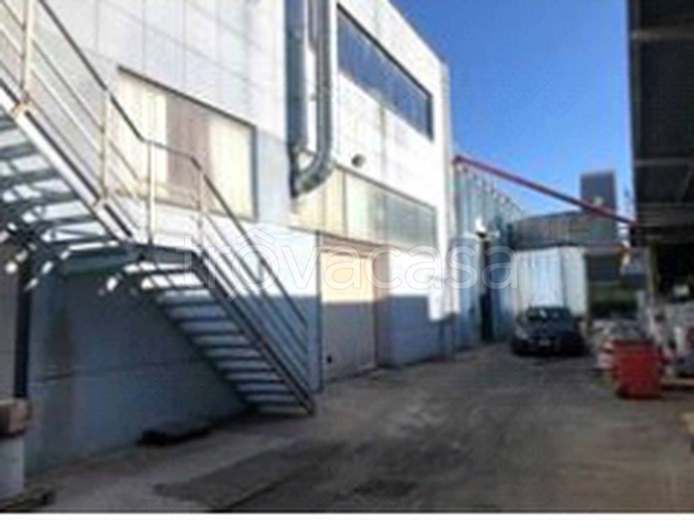 immagine annuncio 2 di 12