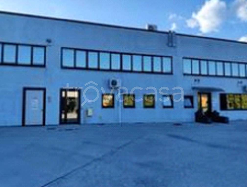 immagine annuncio 3 di 12