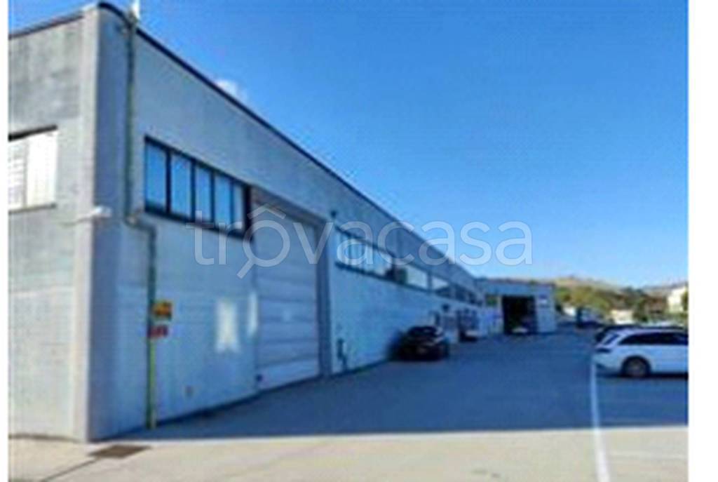 immagine annuncio 5 di 12